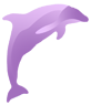 Porpoise purple for map