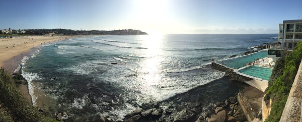 Bondi icebergs – panorama